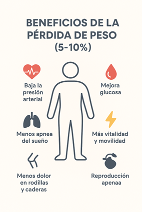 Imagen1